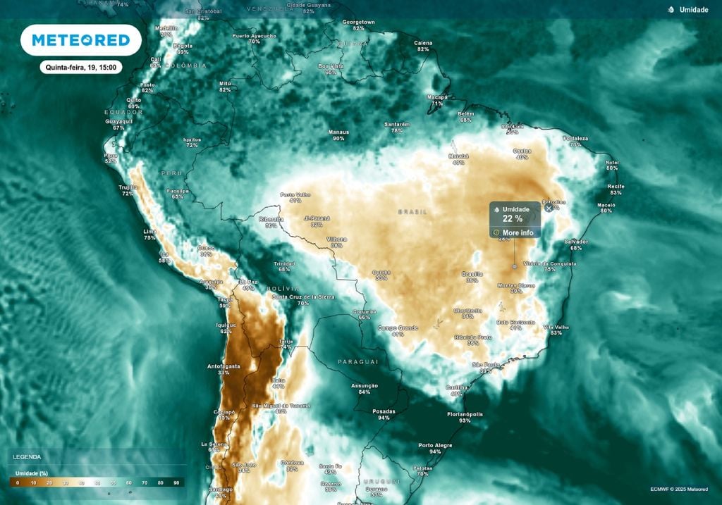 Previsão de temperatura mínima nesta quinta-feira (19), de acordo com o ECMWF. Previsão de temperatura mínima nesta quinta-feira (19), de acordo com o ECMWF.