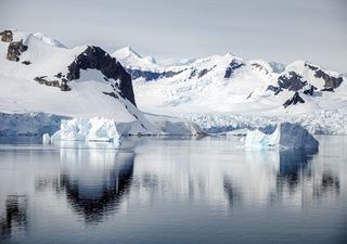 Can the Antarctic antifreeze-yielding super midge survive the climate change battle?