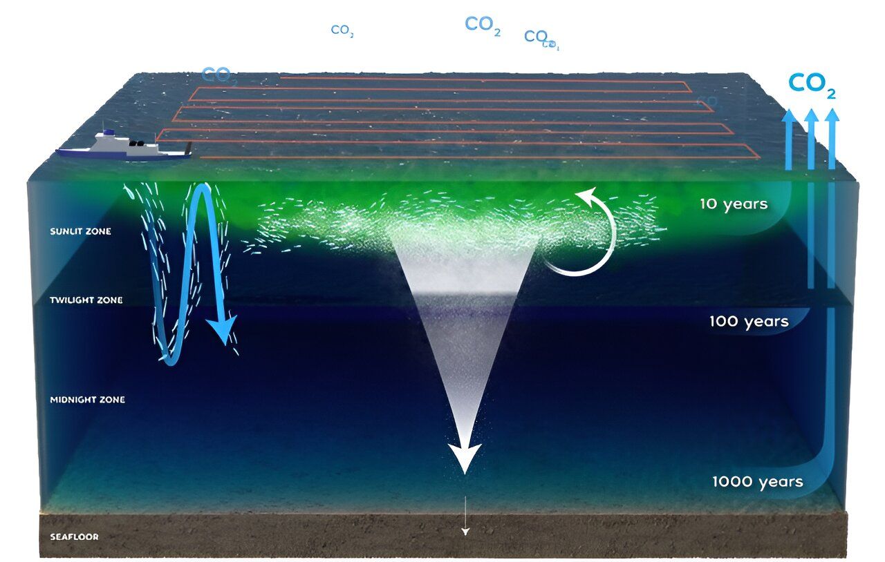 Some scientists are in favor of adding iron to the ocean to remove excess carbon dioxide.