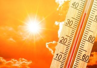 Junho 2025 foi o 3º mais quente desde 1931: meteorologista Teresa Abrantes explica as duas ondas de calor em Portugal