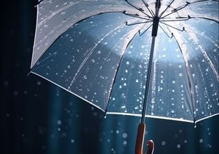 Em março 2025 "choveu mais do dobro do normal" em Portugal continental. Eis a análise da meteorologista Teresa Abrantes 