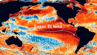 An&aacute;lise de corais nos Gal&aacute;pagos alerta para a intensifica&ccedil;&atilde;o do El Ni&ntilde;o, n&atilde;o s&oacute; este ano, mas tamb&eacute;m no futuro