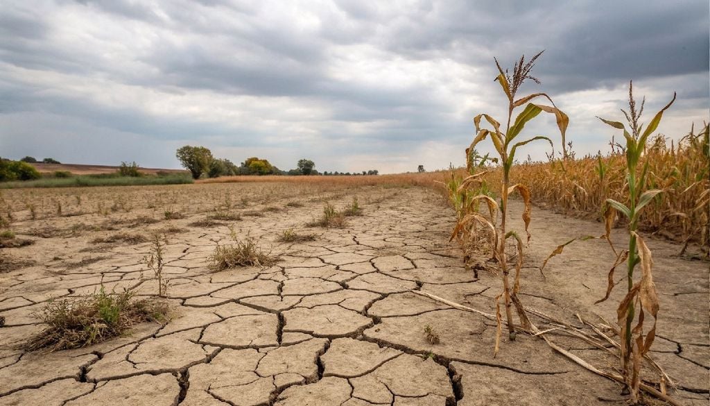 Seca A colheita de milho na África do Sul caiu quase para metade durante o evento El Niño de 2015-16.
