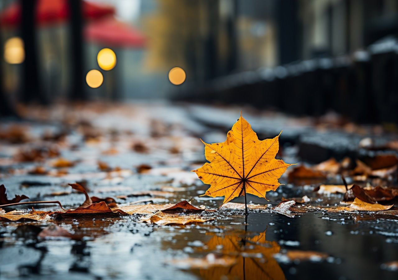 Ciclones tropicales y frentes fríos podrían estar presentes este otoño en México con lluvias en varias entidades, aunque el norte y occidente seguirá con déficit y calor.
