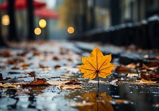 Análisis meteorológico para el otoño 2024 en México: ¿Cómo se comportarían las lluvias y temperaturas en cada región?