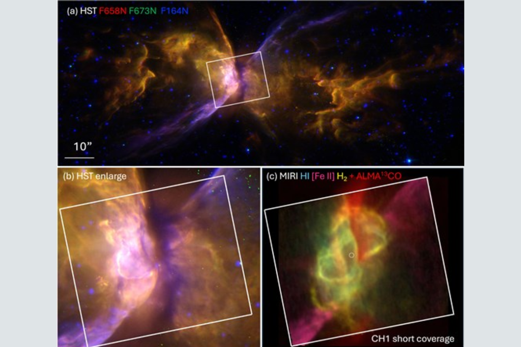 Detalhes do centro da Nebulosa da Borboleta mostram como ela foi formada, como os elementos são espalhados pelo meio interestelar e qual é o futuro do Sol. Crédito: Matsuura et al. 2025 Detalhes do centro da Nebulosa da Borboleta mostram como ela foi formada, como os elementos são espalhados pelo meio interestelar e qual é o futuro do Sol. Crédito: Matsuura et al. 2025