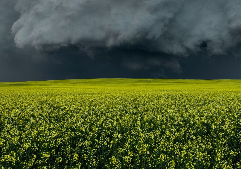Temporali, grandine. Temporali, grandine.