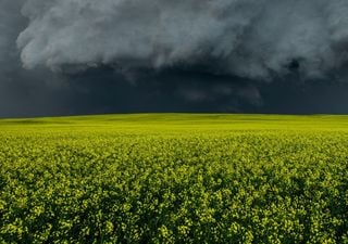 Meteo, anche la seconda metà di maggio a rischio: “Temporali assicurati fino a fine mese in molte regioni'