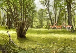 Ancient Europe was open woodland, not closed canopy forest as previously thought, says study