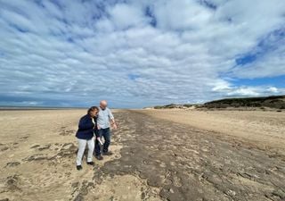 Ancient footprint beds on UK beach reveal a loss of large animal diversity