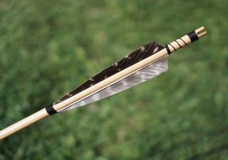 Amazing archery: Ancient Iberian Neolithic people had an incredible knowledge of archery, says new study