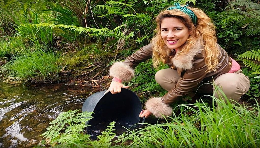 Mais de duas dezenas de milhares de alevins de trutas fário foram libertados no rio Âncora, numa tentativa de restaurar o equilíbrio do ecossistema ribeirinho. Foto: Município de Viana do Castelo