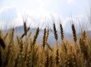 Ancora tanto caldo, occhio a venerdì 14 giugno