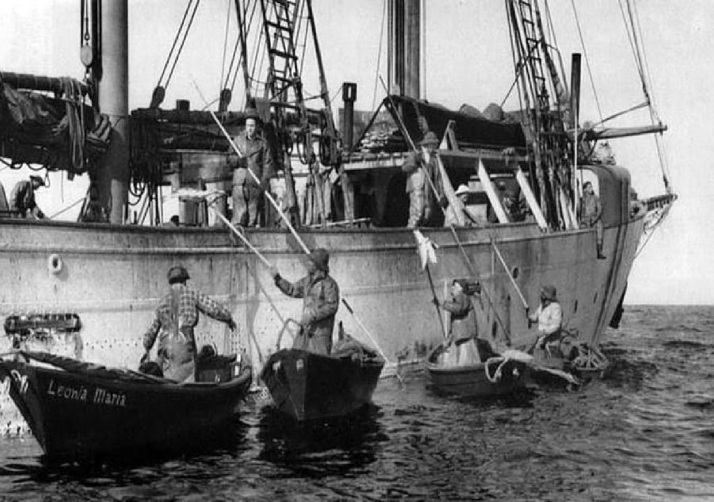 A Terra Nova, na costa nordeste da América do Norte, foi o ponto de partida para as rotas portuguesas da pesca do bacalhau. Foto: Museu Marítimo de Ílhavo