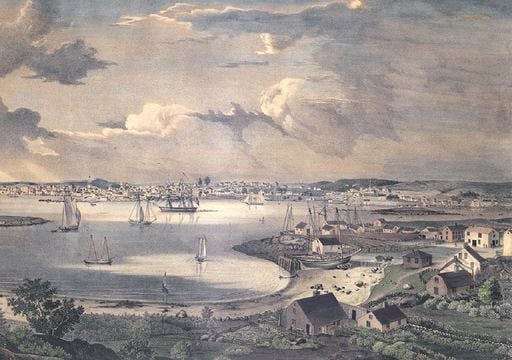 Como os peixes mudaram a arquitetura das nossas cidades &eacute; a investiga&ccedil;&atilde;o de Andr&eacute; Tavares que surpreendeu toda a gente