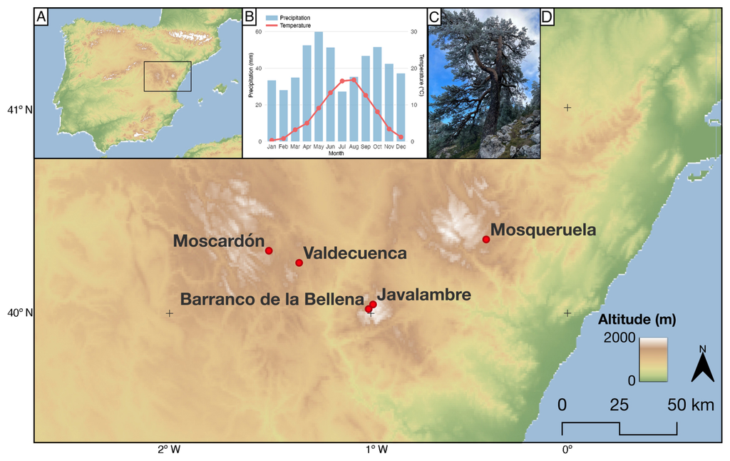 Zona del estudio aludido en la península ibérica. Fuente: Marcos Marín-Martín et al, Climate of the Past (2025). DOI: 10.5194/cp-21-2205-2025