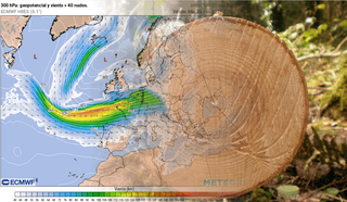 Los datos de los anillos de los árboles revelan cómo la corriente en chorro ha moldeado el tiempo extremo en Europa