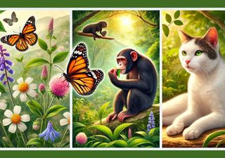 Animales que se curan solos: lo que las mariposas, los chimpancés y los gatos pueden enseñarnos