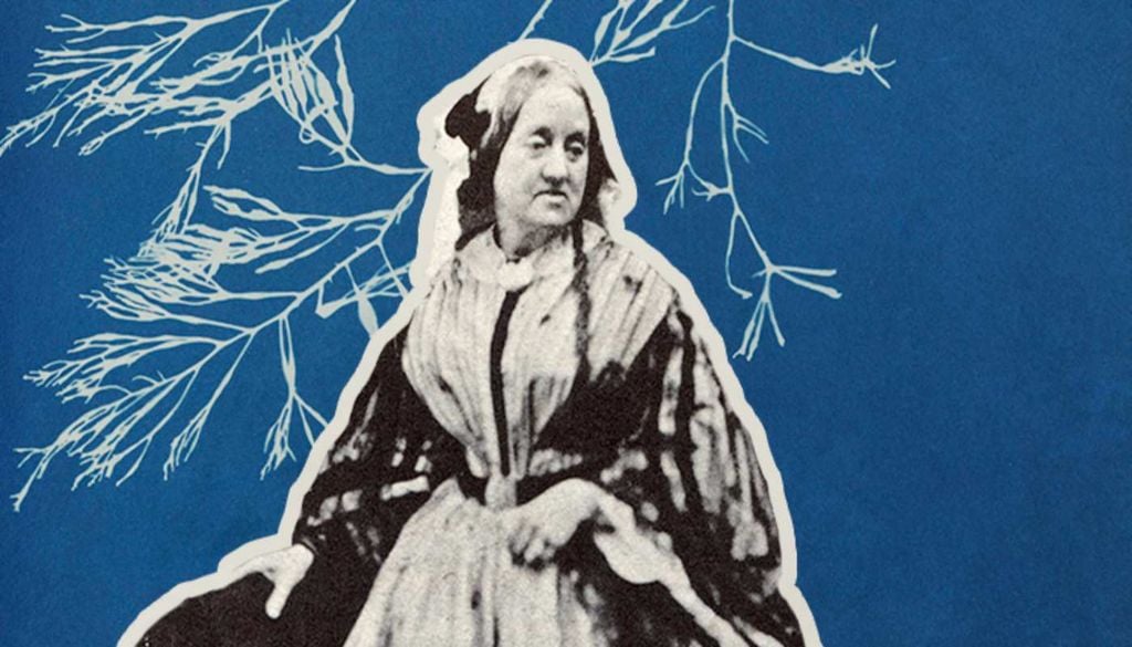 Anna Atkins Anna Atkins utilizou as algas e a luz do sol para criar algumas das primeiras imagens fotográficas da história, transformando ciência em arte. Fonte: Revista CULT