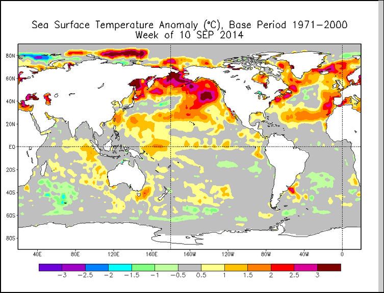 Anomalías Globales De La Temperatura Del Agua Del Mar