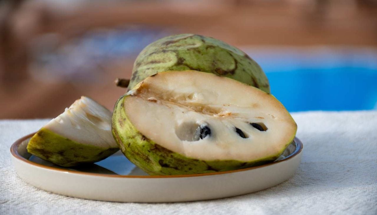 A anona destaca-se pela resistência à seca e pelo sabor cremoso, tornando-se uma aposta promissora para a agricultura sustentável.