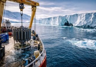 Antarctic meltwater has delivered far less iron than climate models assumed