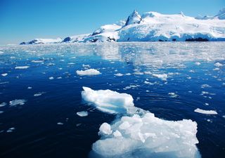 Antarctica's sea ice dwindles to record low annual maximum level