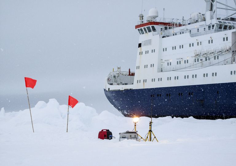 Découverte créature antarctique Découverte créature antarctique