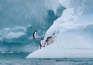 Antártica Chilena: el continente del hielo eterno y el laboratorio más extremo del planeta