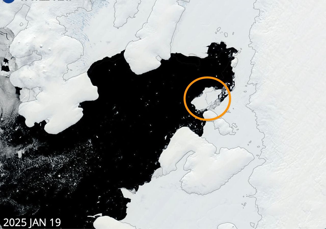 Antarctica: A-84 Iceberg Calving Reveals Incredible Ecosystem Never Before Seen by Humans
