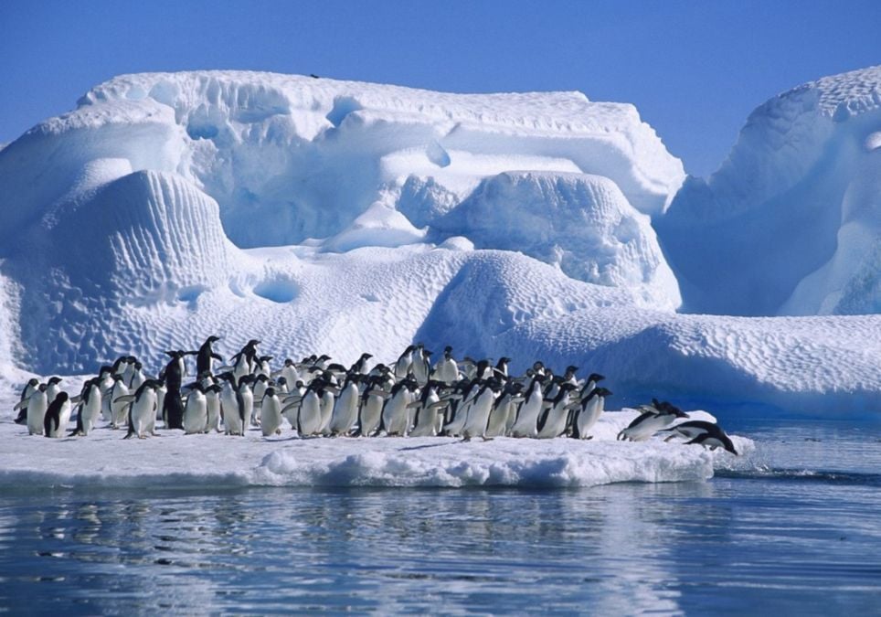 Antártida dehielo 6 veces 40 años cambio climático Antártida dehielo 6 veces 40 años cambio climático