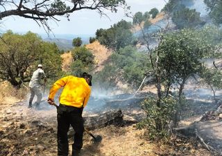 ¡Miles de hectáreas destruidas!, ante los incesantes incendios forestales al Norte del México