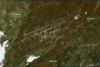 Antes de que caigan las hojas