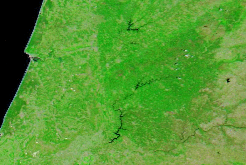 Antes Y Después De Los Grandes Incendios De Junio De 2017