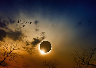 Anticipo: el pronóstico para el día del eclipse de Sol en Argentina