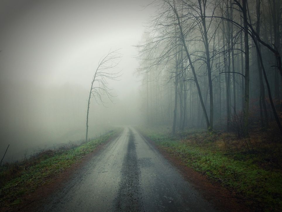 brouillard brouillard