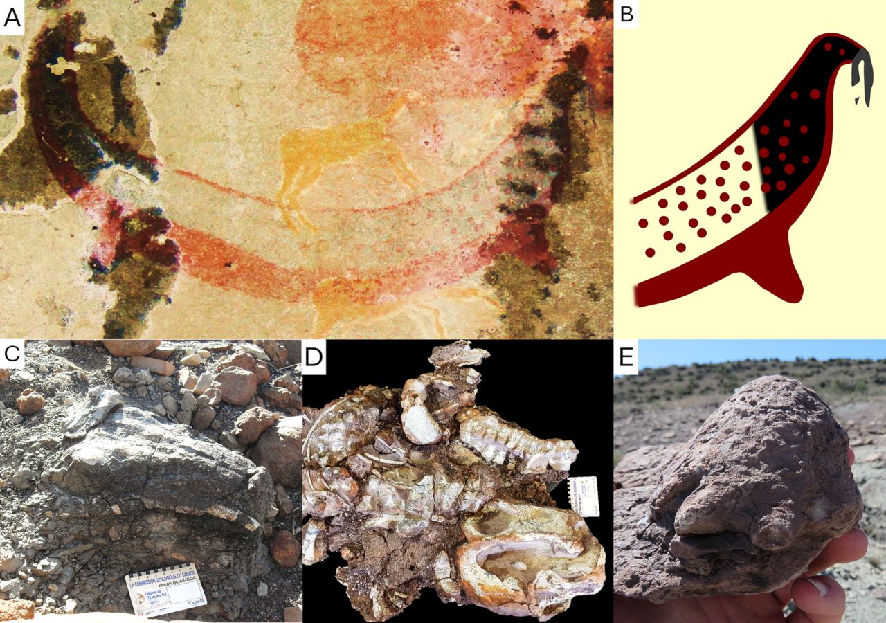 Ancient indigenous South Africans discovered fossils before science and may have worshipped extinct creatures.