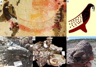 Antigos indígenas sul africanos descobriram fósseis antes da ciência e podem ter adorado criaturas extintas