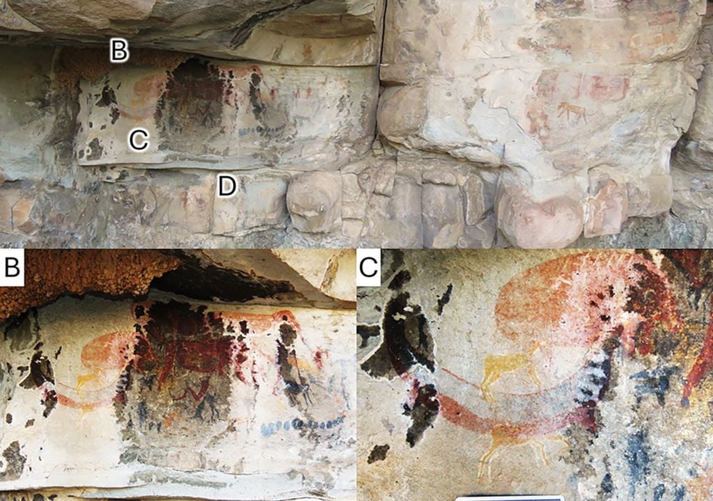 Pictures of the place where the cave paintings were found.