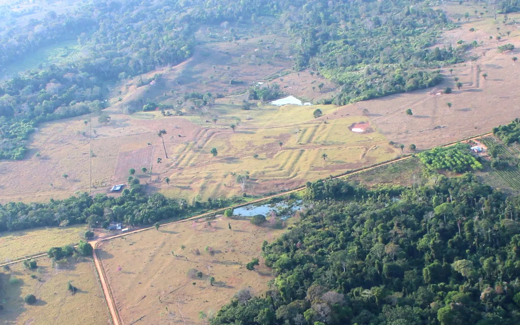 Sitio arqueológico de Tequinho en Acre, Brasil.