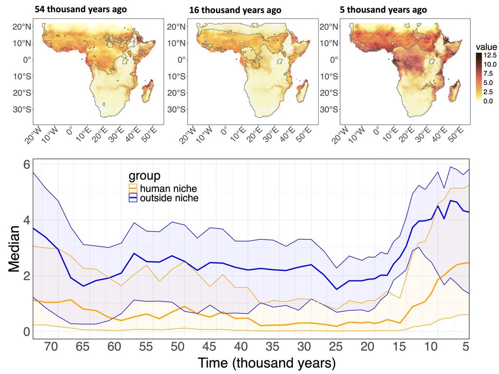 Comparación de la extensión del nicho ecológico humano y el riesgo potencial de transmisión de malaria a lo largo del tiempo. El panel superior muestra la extensión del nicho ecológico humano (delimitado en negro) frente al mapa de riesgo potencial de transmisión de malaria hace 54, 16 y 8 mil años. El panel inferior muestra la mediana del nivel de riesgo de malaria en el área de distribución humana (línea naranja oscura) y fuera de ella (línea azul oscura), incluyendo la incertidumbre (intervalo intercuartil, color transparente alrededor de las líneas más oscuras que muestran los valores medianos). Se observa que el nivel de malaria en el nicho ecológico humano es consistentemente menor que en las áreas evitadas por los humanos. Crédito: Colucci et al, Science Advances (2026).