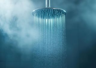 Antimicrobial showerheads aren't foolproof shows study