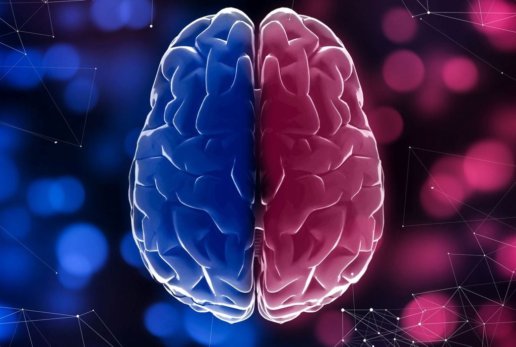 La hora del día es clave y debe incluirse en todos los estudios sobre el cerebro. La hora del día es clave y debe incluirse en todos los estudios sobre el cerebro.