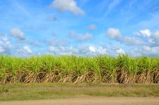 Aplicaciones meteorológicas en la agricultura