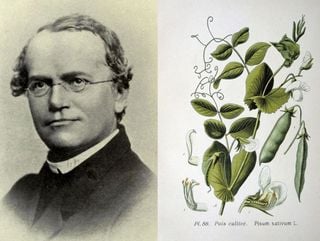 ¿Sabías que el padre de la genética, Gregor J. Mendel, hizo grandes aportaciones a la meteorología?