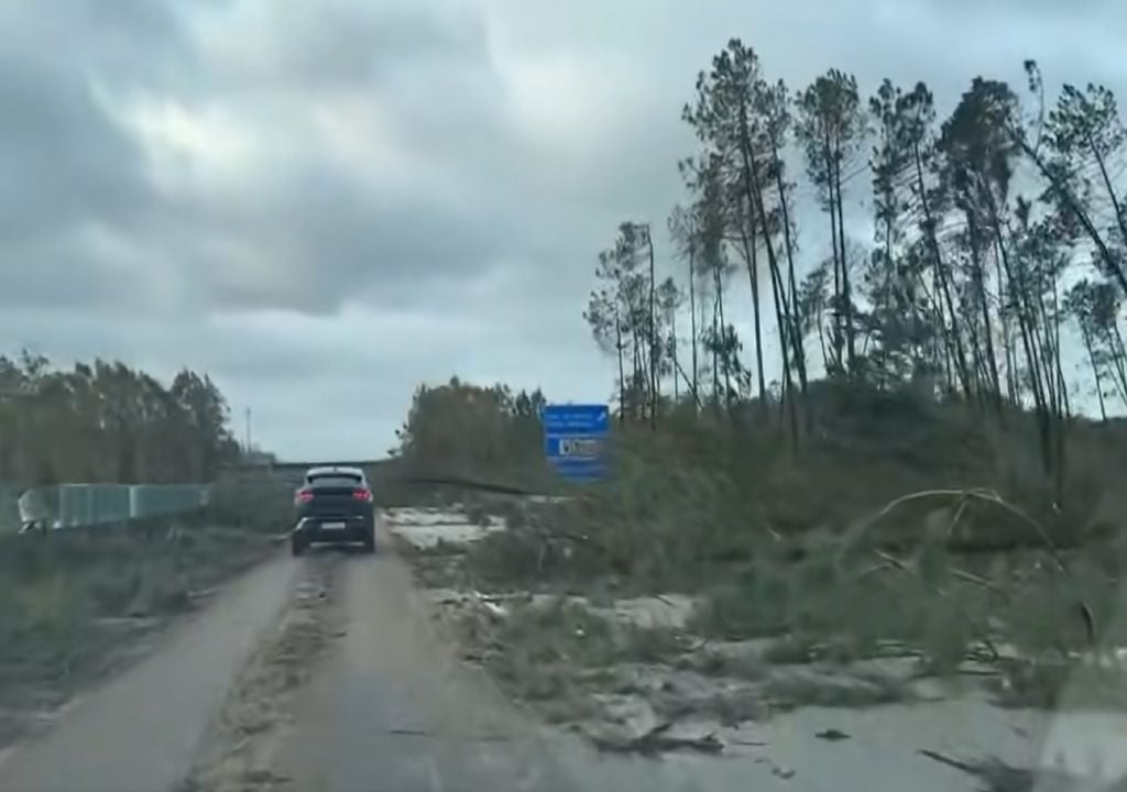 A devastação na A17, entre os distritos de Leiria e Coimbra. Foto: reprodução do Facebook/ Coldynamics
