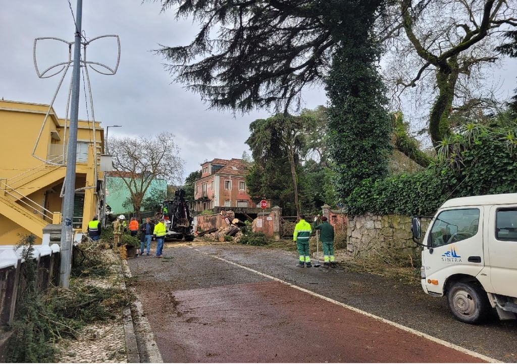 Parque Natural de Sintra Cascais durante as operações de desobstrução e limpeza das vias rodoviárias. Foto: reprodução do Facebook/ Coldynamics