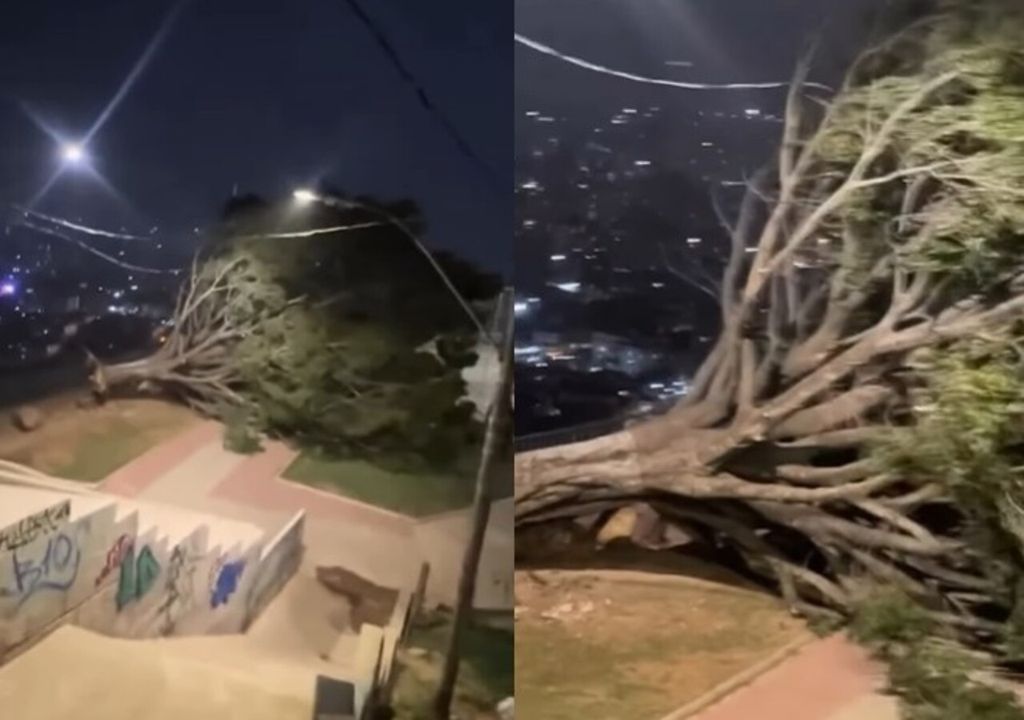 Ventos fortes atingem a capital mineira e causam falta de luz e quedas de árvores Ventos fortes atingem a capital mineira e causam falta de luz e quedas de árvores