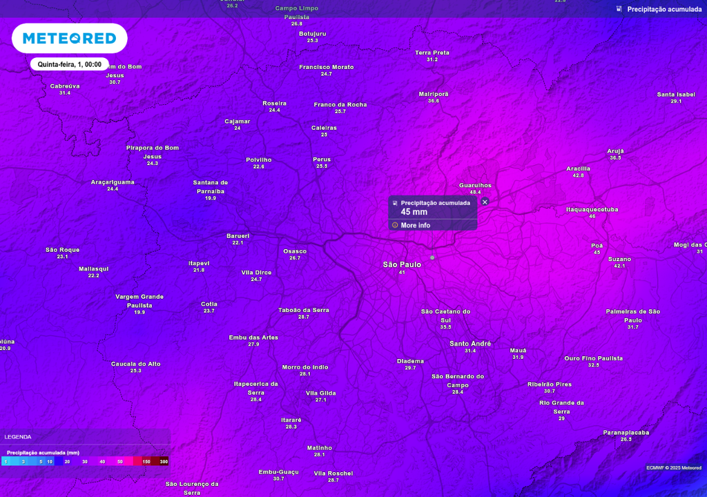 Previsão de chuva acumulada até o final da quarta-feira (31), de acordo com o ECMWF.