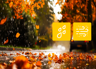 Approche d'une dépression en France ce week-end : à quoi s'attendre entre pluie et vent ? Découvrez les prévisions météo